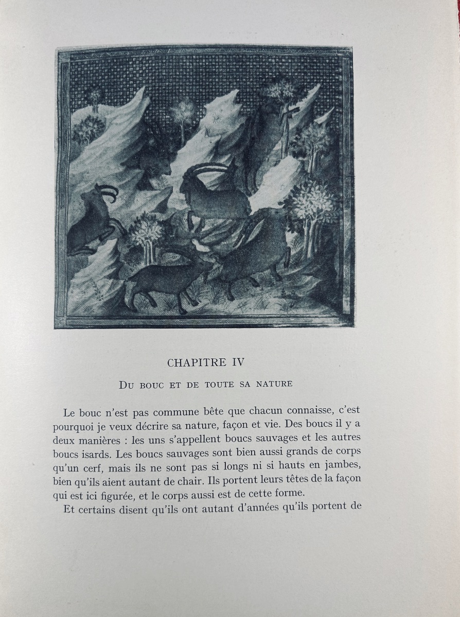 Bossuat (robert And André) - *the Book Of Hunting* By Gaston Phoebus. Nourry, 1931, Paperback.-photo-4