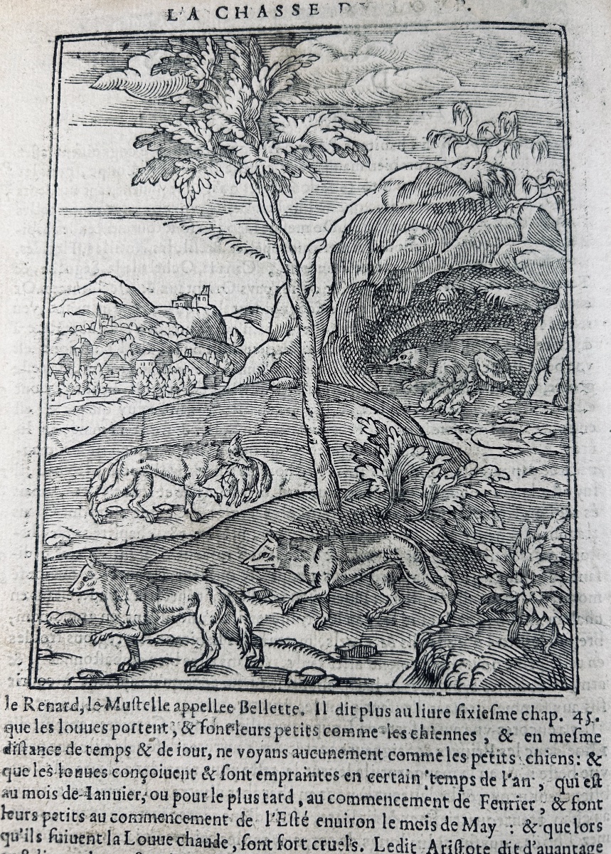 CLARMORGAN (Jean de) - La chasse du loup, fort utile et nécessaire. Rouen, Gevffroy, 1620.-photo-4