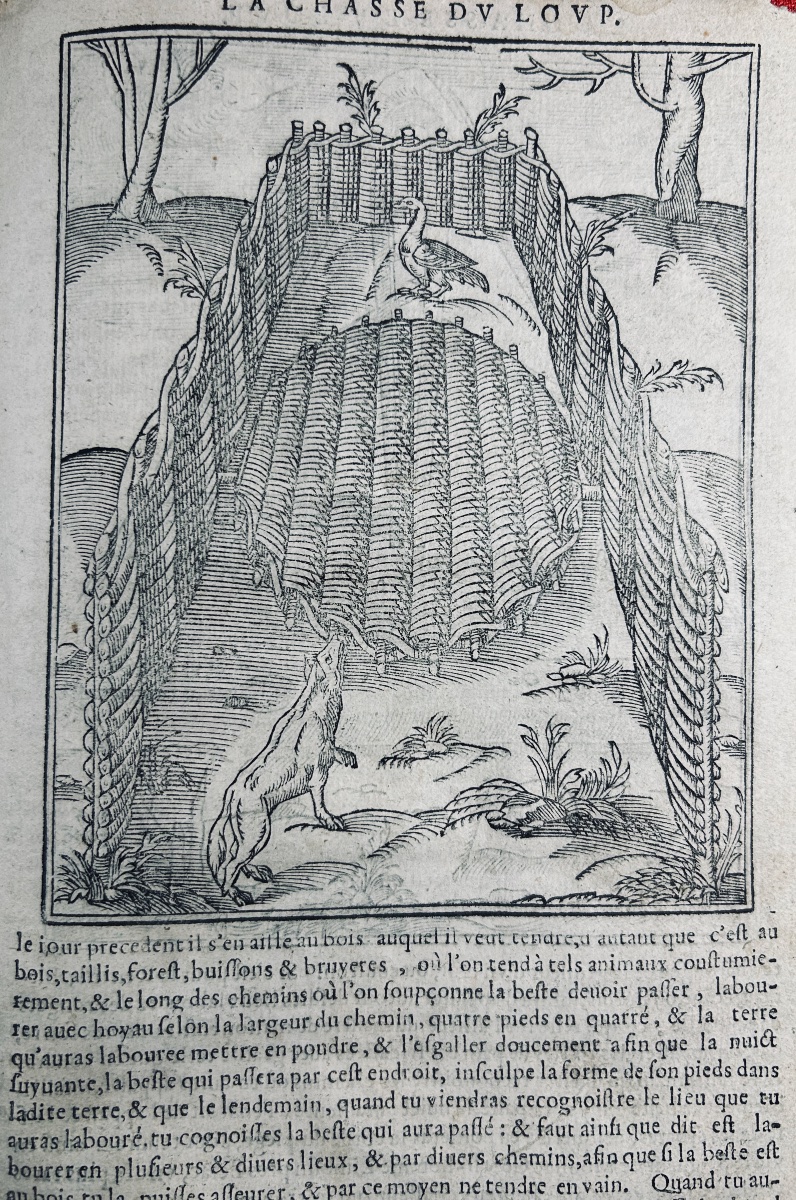 CLARMORGAN (Jean de) - La chasse du loup, fort utile et nécessaire. Rouen, Gevffroy, 1620.-photo-2