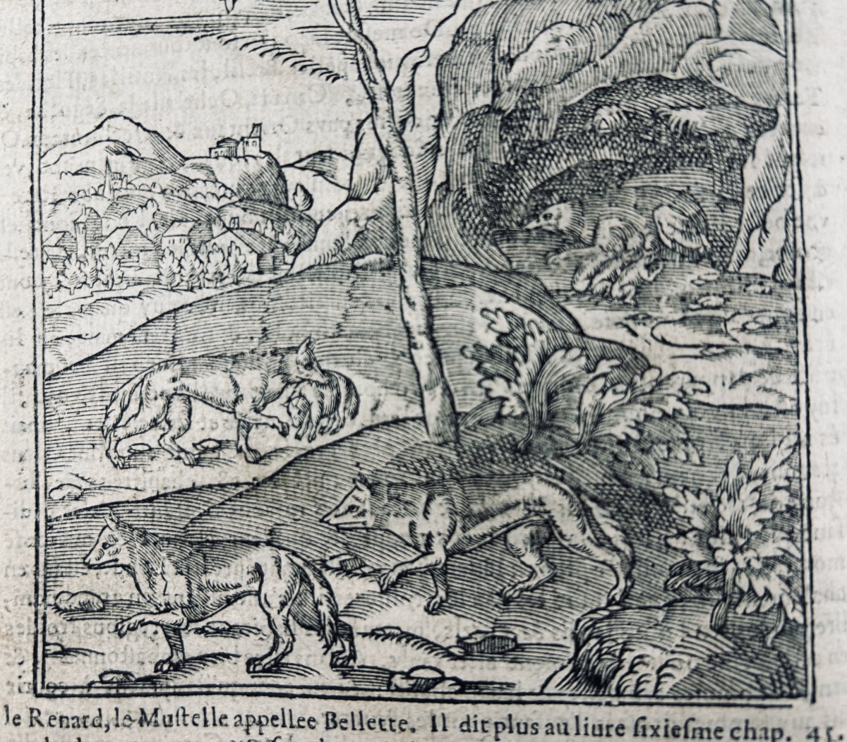 CLARMORGAN (Jean de) - La chasse du loup, fort utile et nécessaire. Rouen, Gevffroy, 1620.-photo-6
