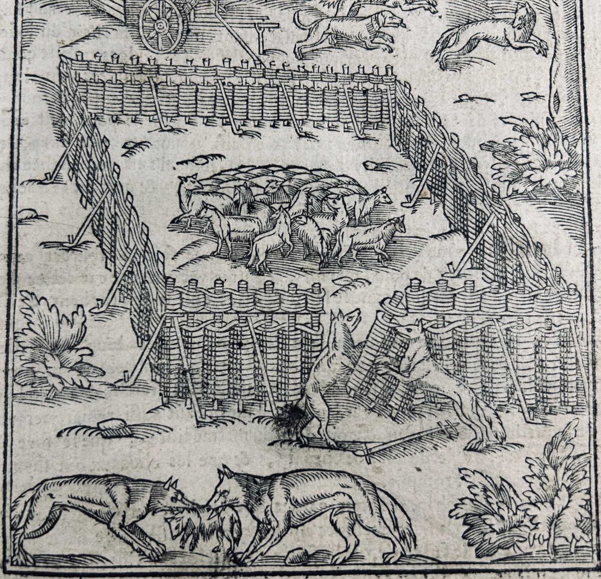 CLARMORGAN (Jean de) - La chasse du loup, fort utile et nécessaire. Rouen, Gevffroy, 1620.-photo-7