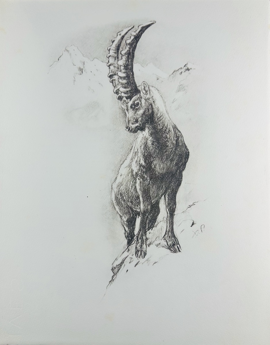 Doyen - Old Hunting Traditions In The Loudun Region. Crépin-leblond, 1947, Illustrations By Xavier De Poret.-photo-2