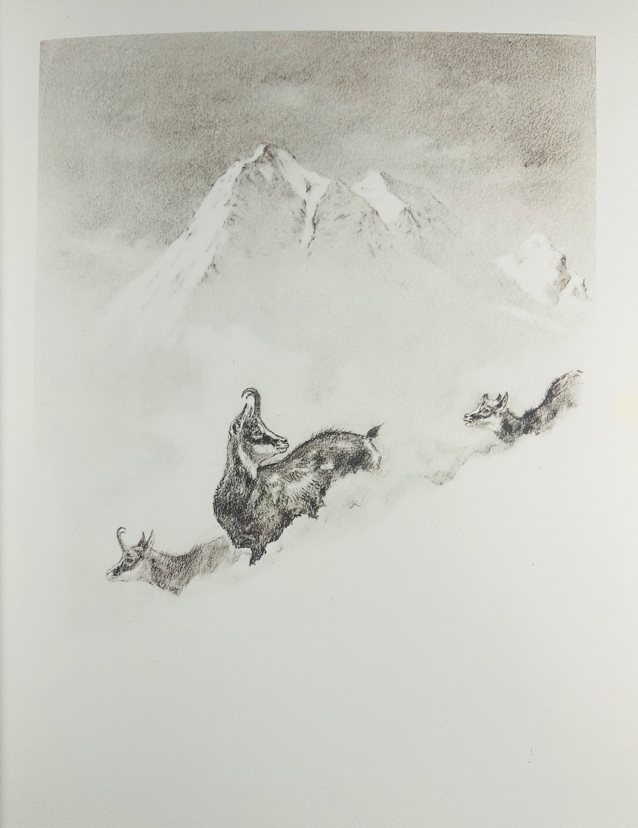 Doyen - Old Hunting Traditions In The Loudun Region. Crépin-leblond, 1947, Illustrations By Xavier De Poret.-photo-3