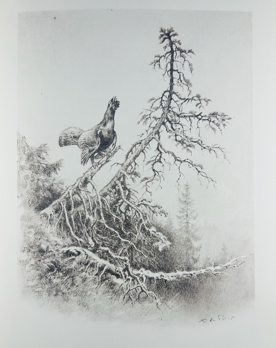 Doyen - Old Hunting Traditions In The Loudun Region. Crépin-leblond, 1947, Illustrations By Xavier De Poret.-photo-4