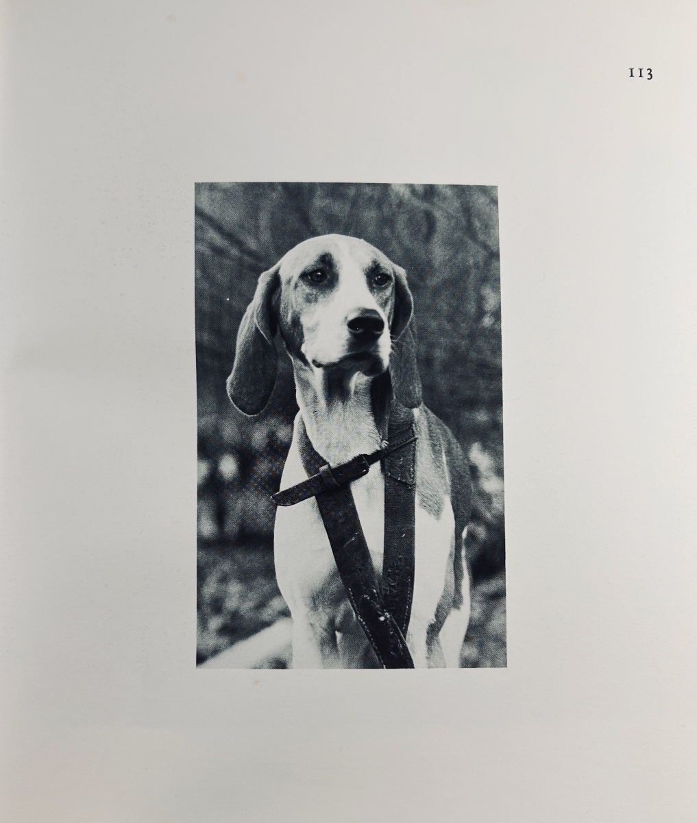 La Bastide - Why I Missed My Deer. Joël Bouëssée, 1984, Numbered Copy.-photo-2