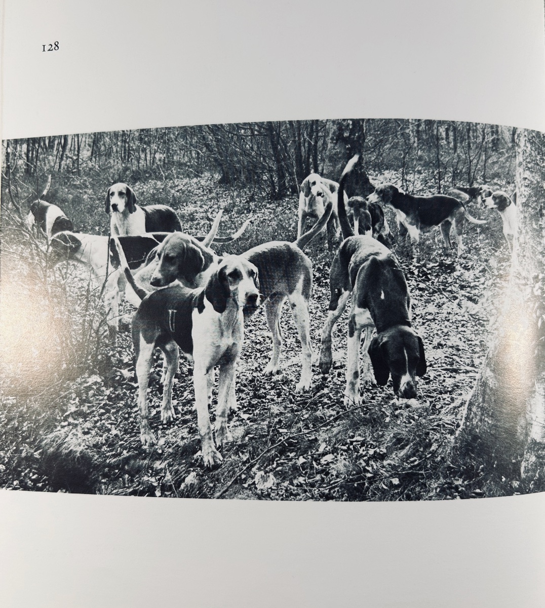 La Bastide - Why I Missed My Deer. Joël Bouëssée, 1984, Numbered Copy.-photo-5