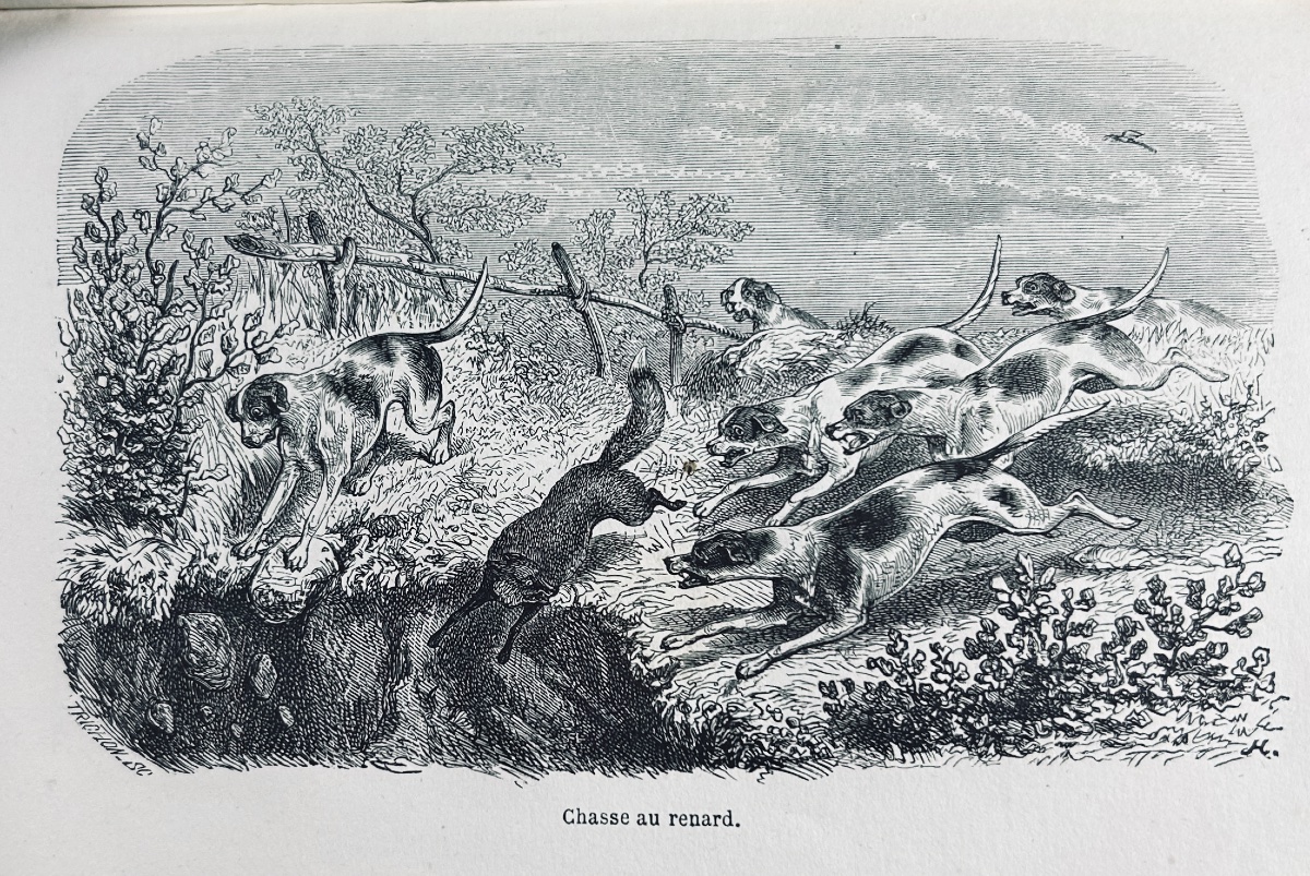 LA VALLÉE (Joseph) - La chasse à courre, en France. Hachette, 1859. Reliure demi-maroquin rouge-photo-3