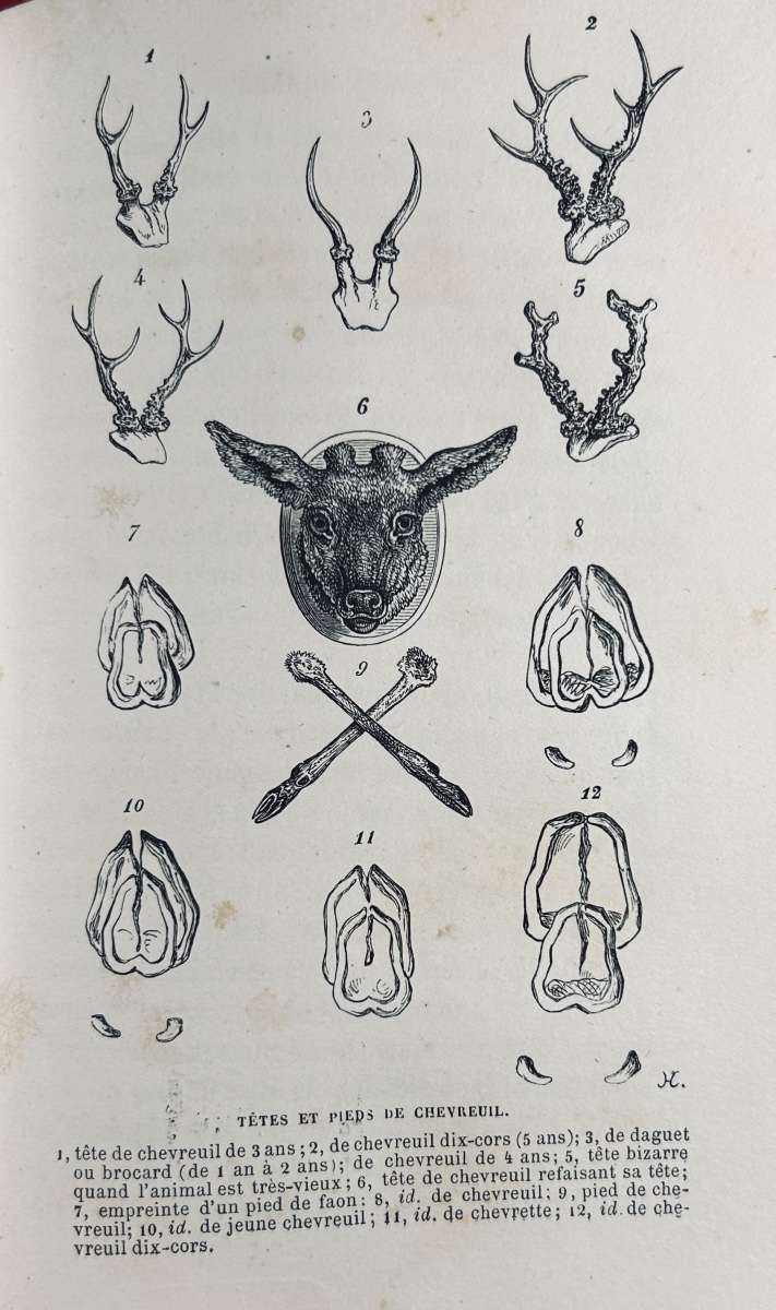 LA VALLÉE (Joseph) - La chasse à courre, en France. Hachette, 1859. Reliure demi-maroquin rouge-photo-4