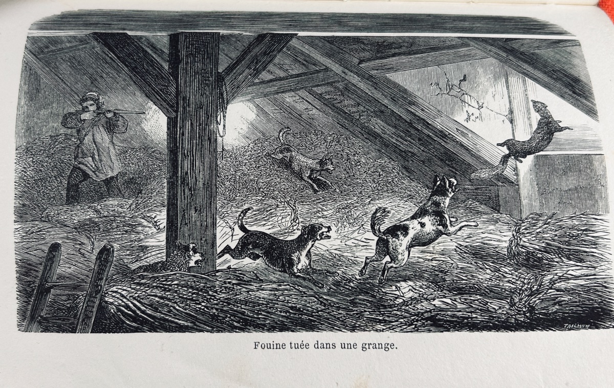LA VALLÉE (Joseph) - La chasse à courre, en France. Hachette, 1859. Reliure demi-maroquin rouge-photo-3