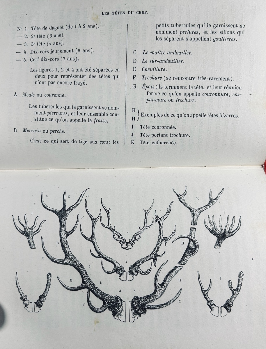 LA VALLÉE (Joseph) - La chasse à courre, en France. Hachette, 1859. Reliure demi-maroquin rouge