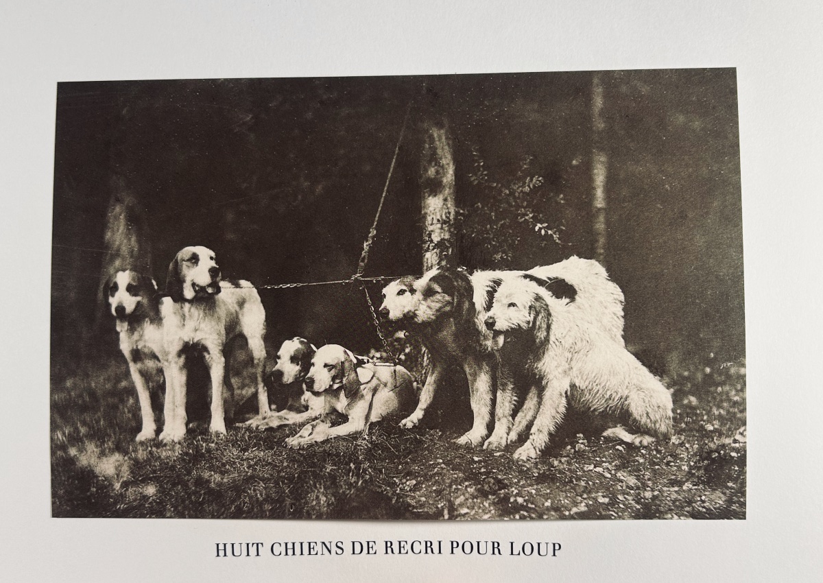 LE COTEULX DE CANTELEU & ABRILLE - La chasse du loup. Suivi de Le réel dans l'objectif.  -photo-3