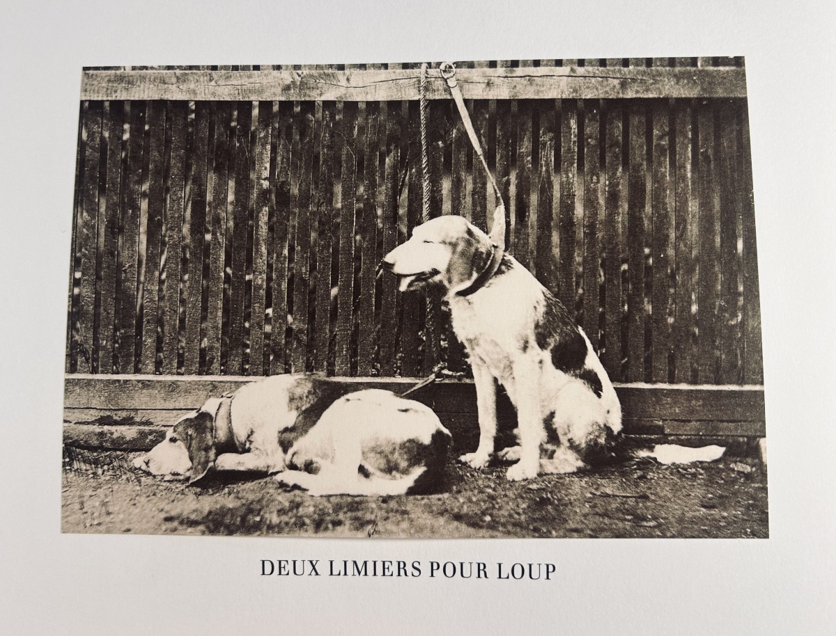 LE COTEULX DE CANTELEU & ABRILLE - La chasse du loup. Suivi de Le réel dans l'objectif.  -photo-2