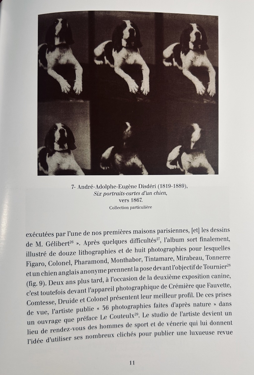 LE COTEULX DE CANTELEU & ABRILLE - La chasse du loup. Suivi de Le réel dans l'objectif.  -photo-5