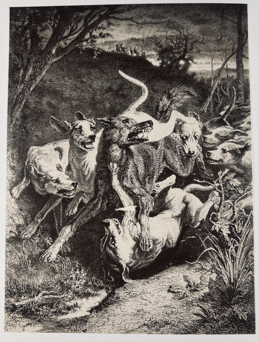 LE COTEULX DE CANTELEU & ABRILLE - La chasse du loup. Suivi de Le réel dans l'objectif.  