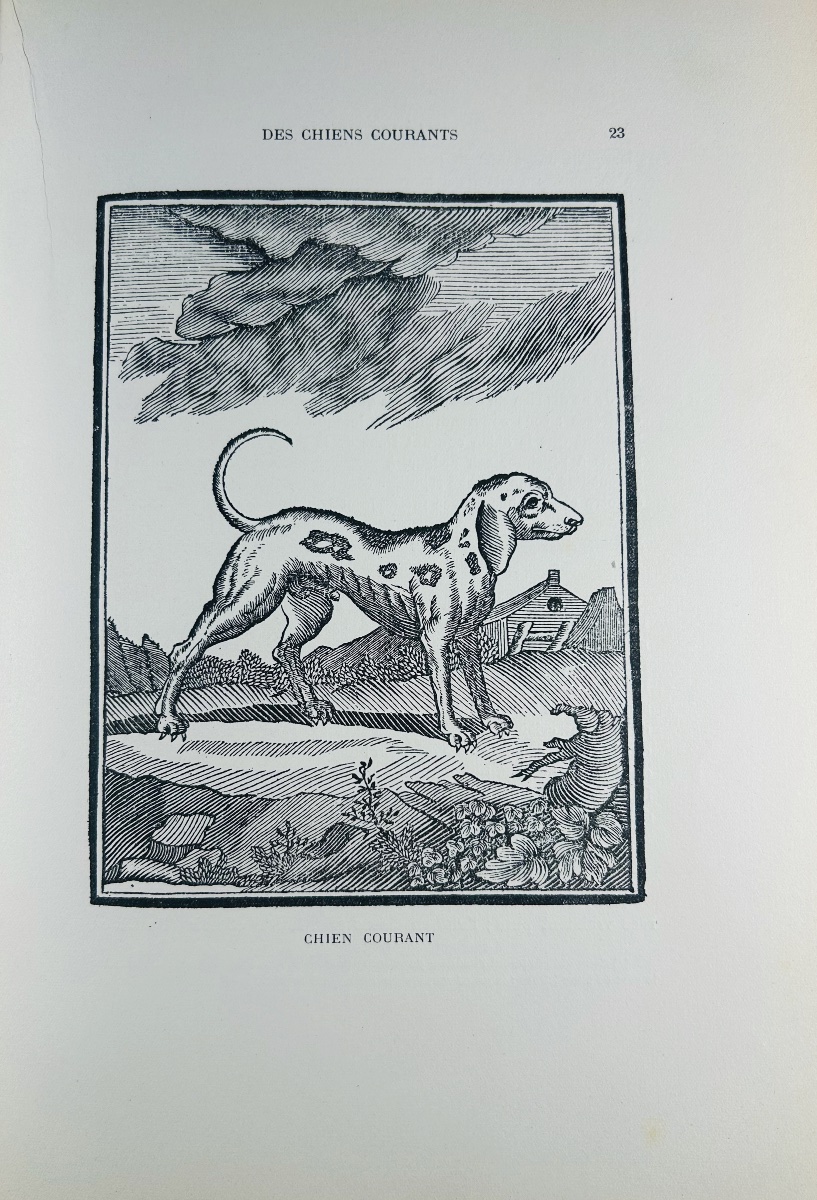 LE VERRIER DE LA CONTERIE - L'école de la chasse aux chiens courants. Nourry, 1932. Broché. -photo-3