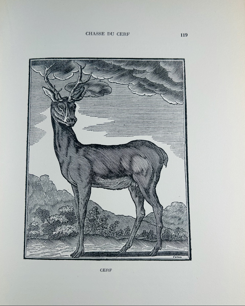 LE VERRIER DE LA CONTERIE - L'école de la chasse aux chiens courants. Nourry, 1932. Broché. -photo-4