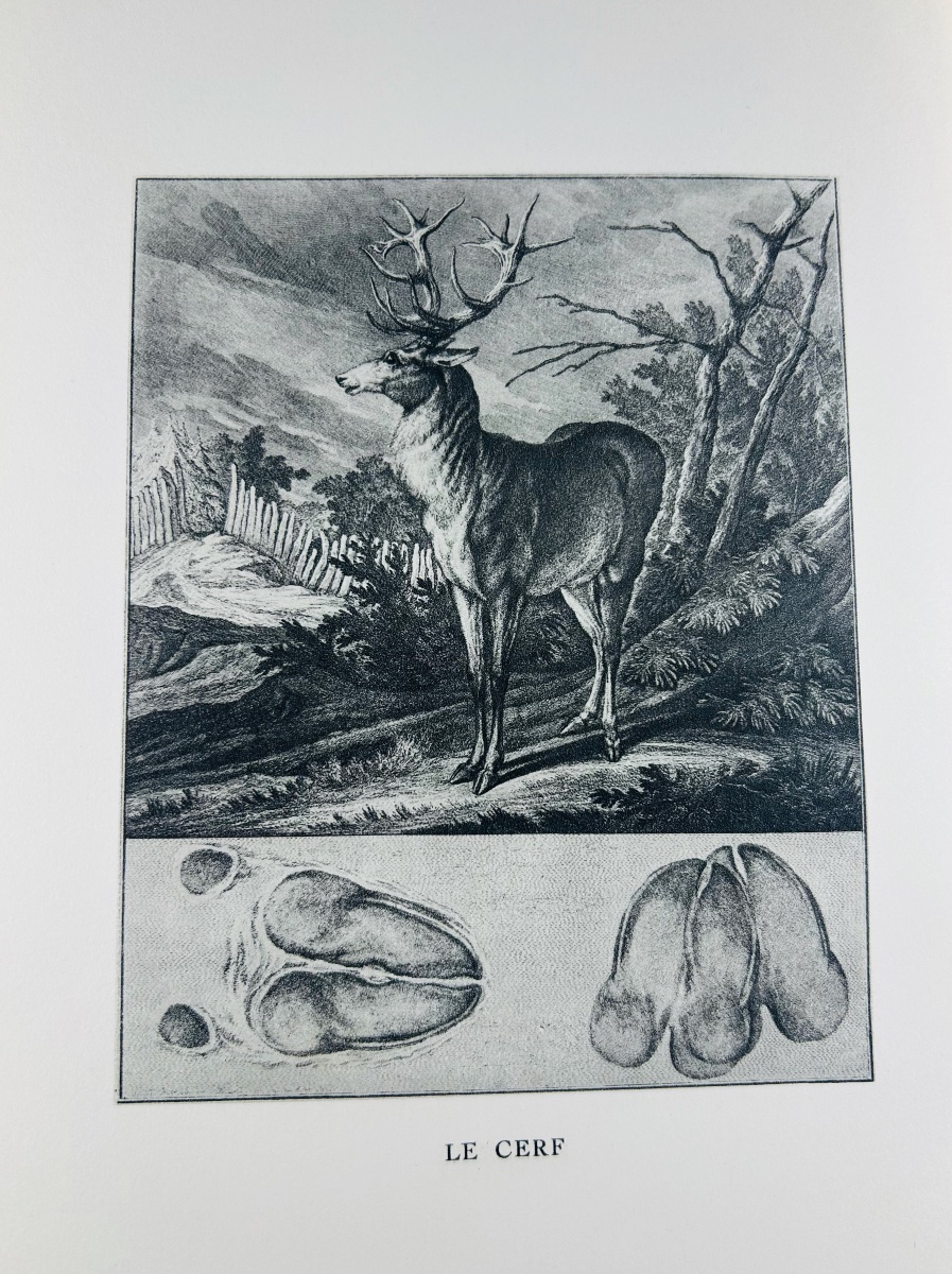 LE VERRIER DE LA CONTERIE - L'école de la chasse aux chiens courants. Nourry, 1932. Broché. -photo-3