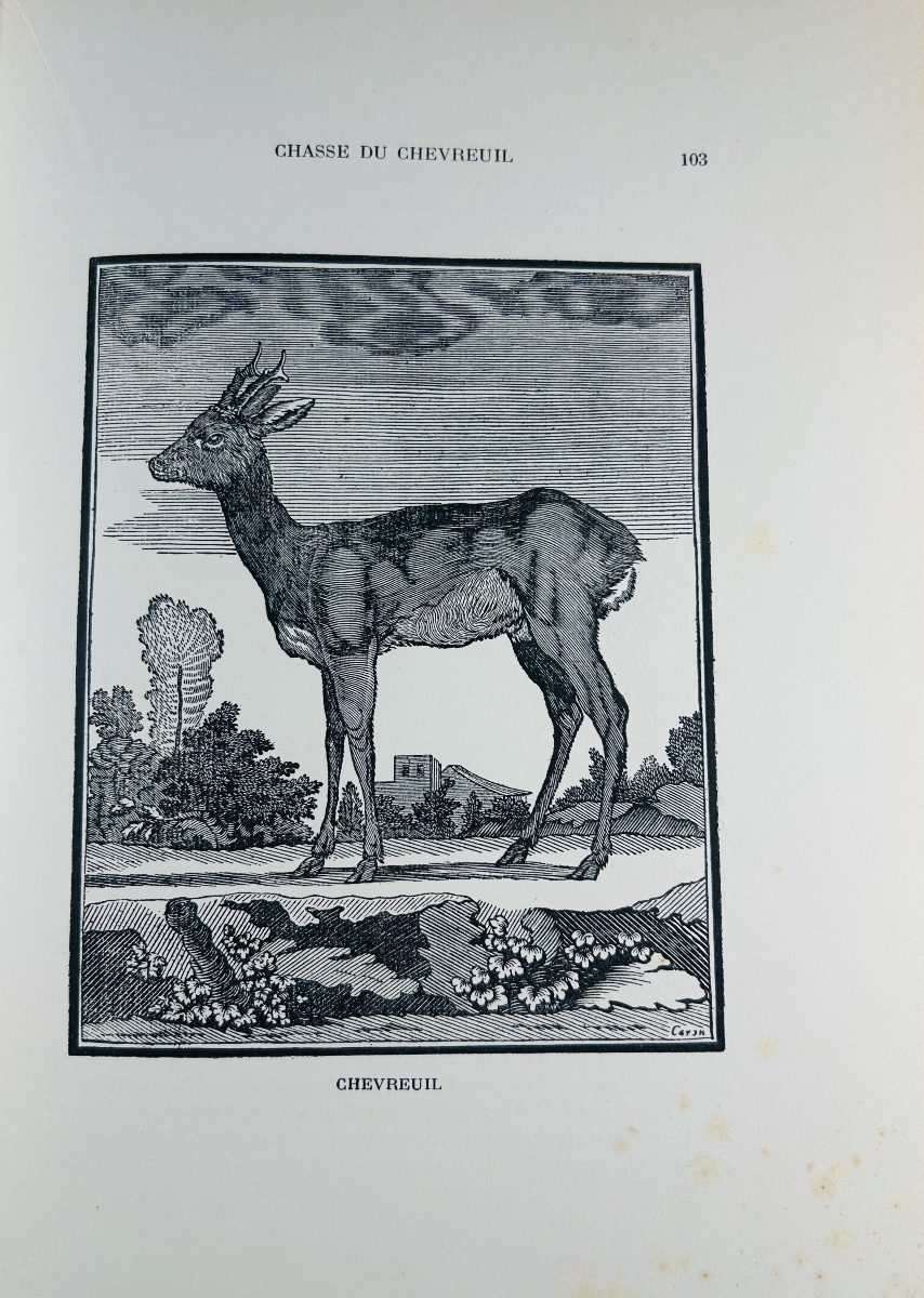 LE VERRIER DE LA CONTERIE - L'école de la chasse aux chiens courants. Nourry, 1932. Broché. -photo-7