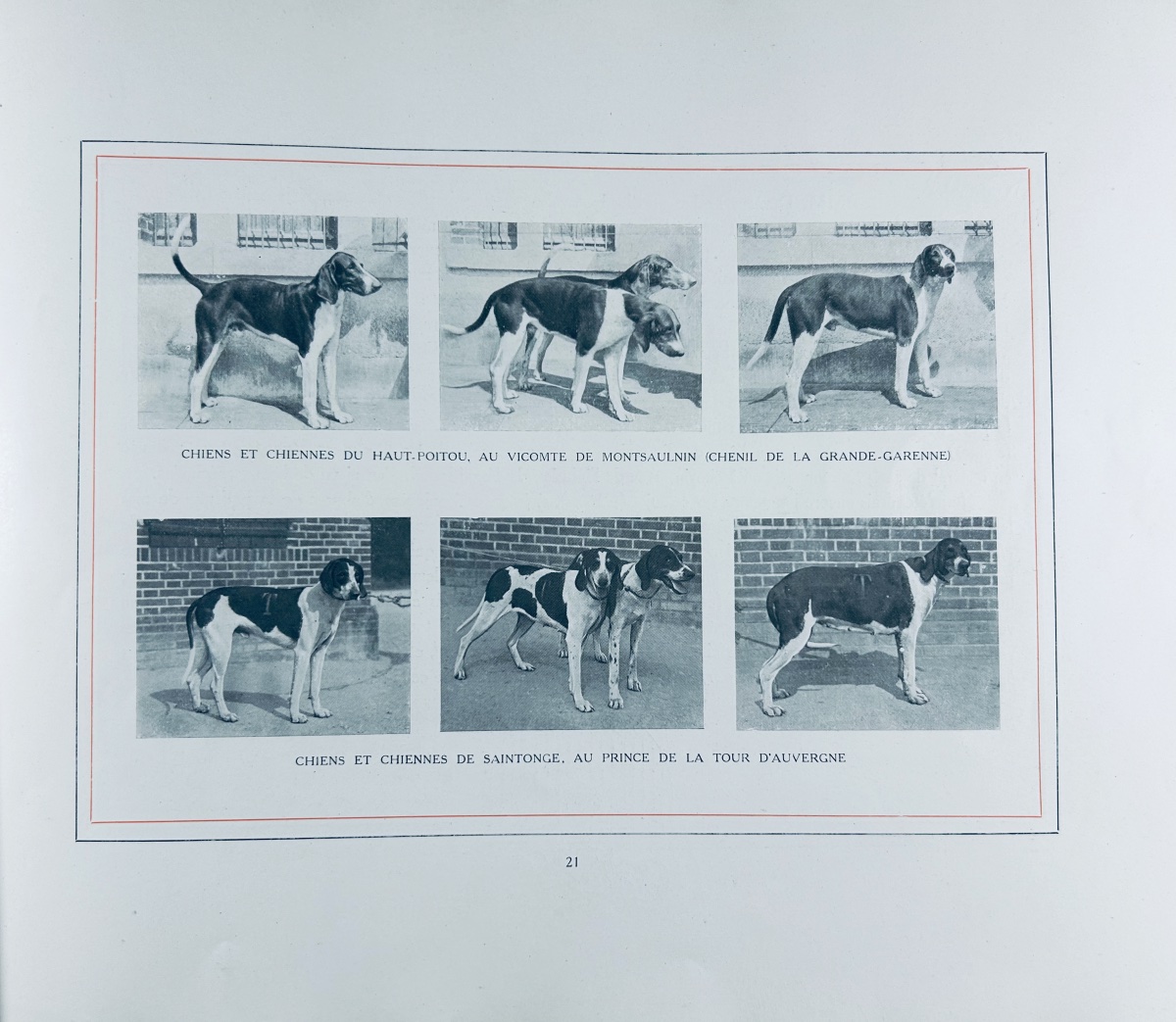 Lestrade And Chatin De Chastaing - Advice From An Old Hunter. Followed By The Code Of Hound Hunting.-photo-3