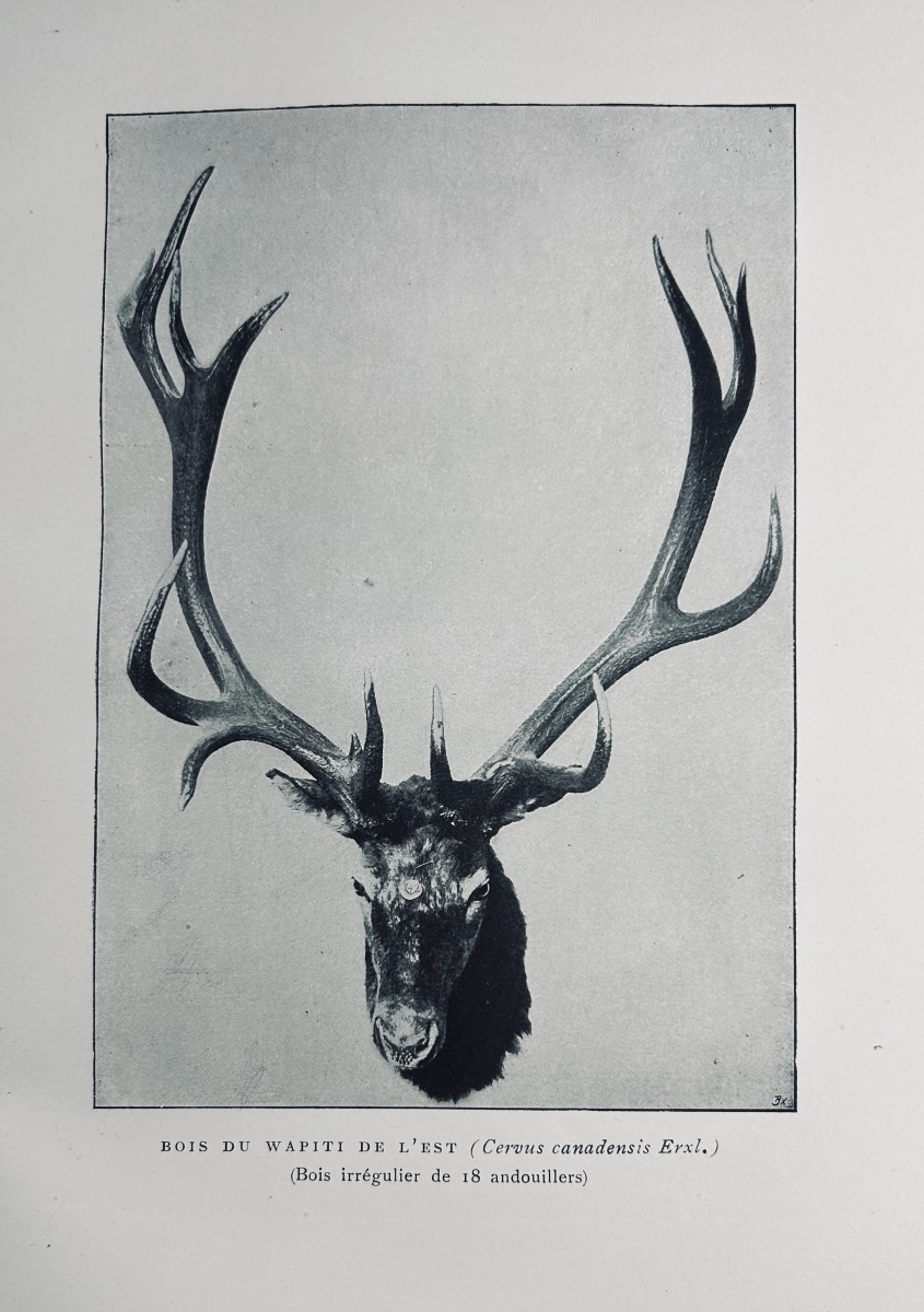NIEDIECK (Paul) - Mes chasses dans les cinq parties du monde. Plon, 1907, cartonnage d'éditeur.-photo-4