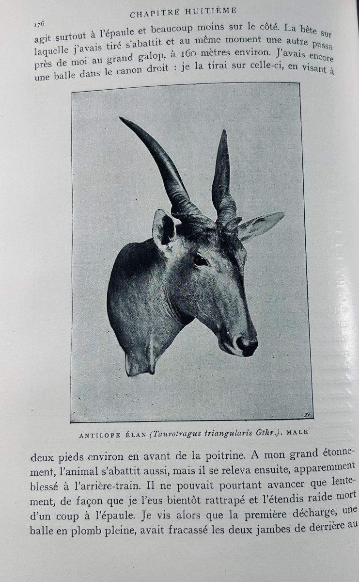 NIEDIECK (Paul) - Mes chasses dans les cinq parties du monde. Plon, 1907, cartonnage d'éditeur.-photo-5