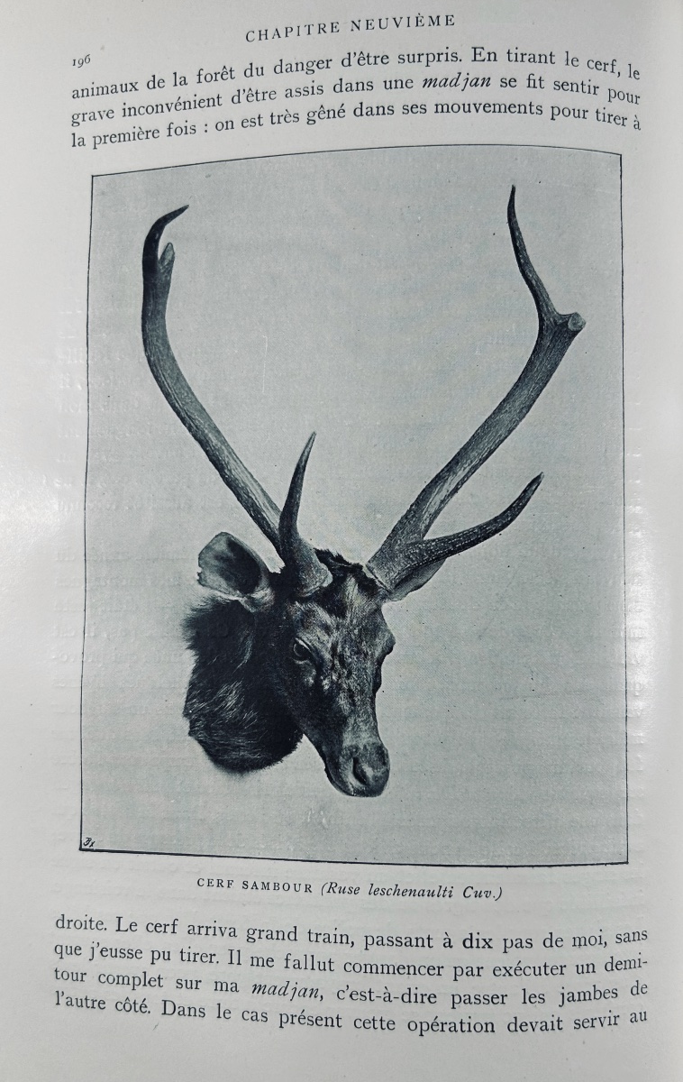 NIEDIECK (Paul) - Mes chasses dans les cinq parties du monde. Plon, 1907, cartonnage d'éditeur.-photo-6