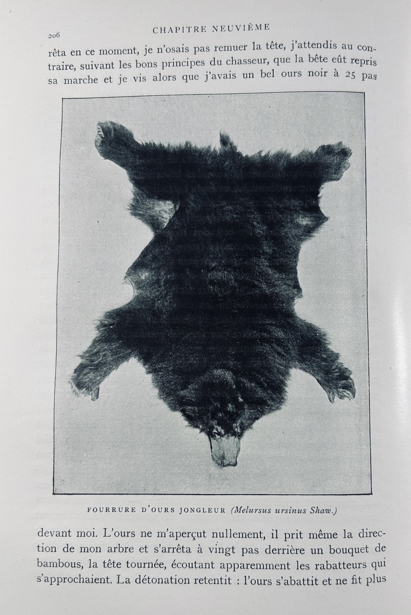 NIEDIECK (Paul) - Mes chasses dans les cinq parties du monde. Plon, 1907, cartonnage d'éditeur.-photo-7