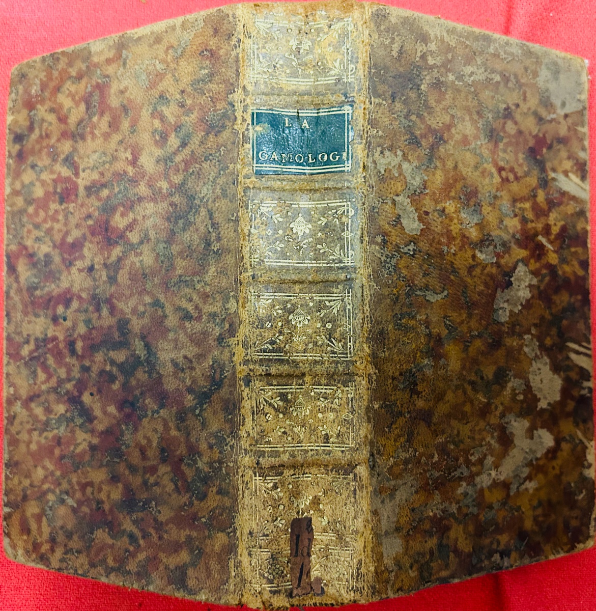 Cerfvol - *gamology, Or On The Education Of Girls Intended For Marriage*. Duchesne, 1772.-photo-8