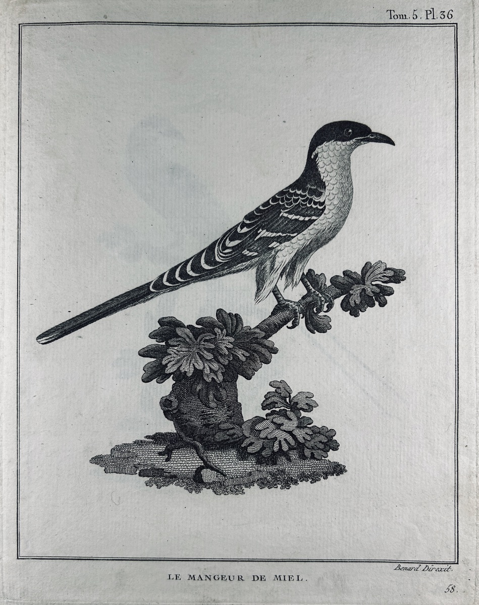 Bruce - Maps And Illustrations From The Journey To Nubia And Abyssinia By James Bruce. Plassan, 1792.-photo-4