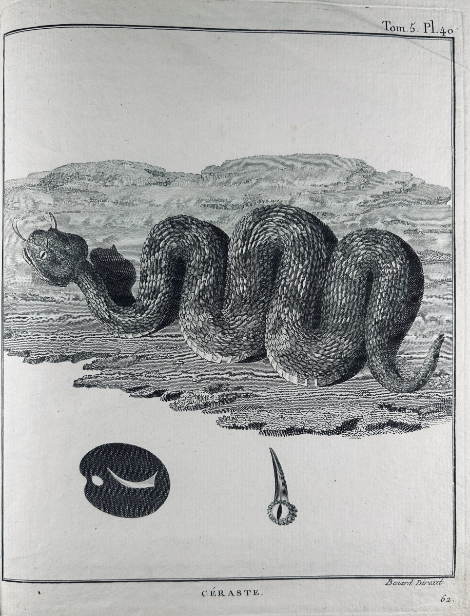 Bruce - Maps And Illustrations From The Journey To Nubia And Abyssinia By James Bruce. Plassan, 1792.-photo-5