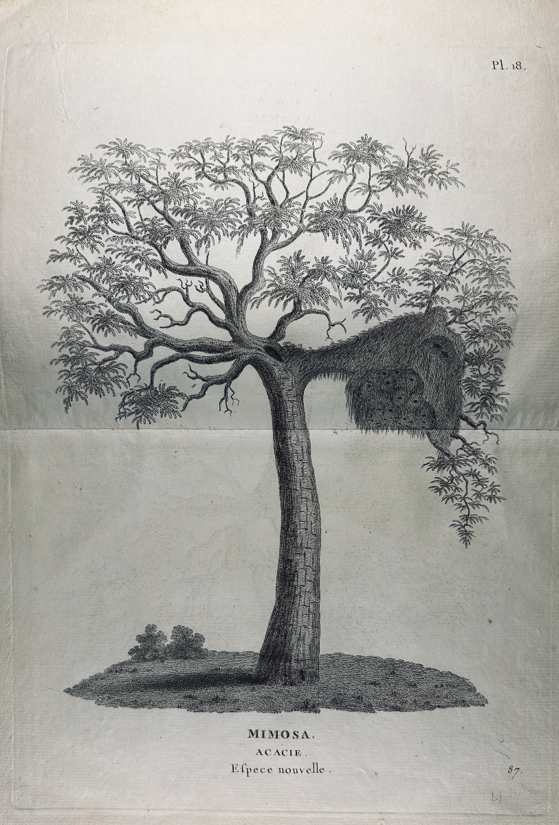 Bruce - Maps And Illustrations From The Journey To Nubia And Abyssinia By James Bruce. Plassan, 1792.-photo-6