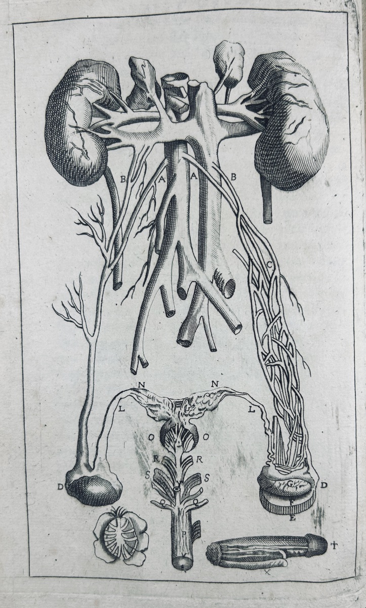 DIONIS - Traité général des accouchemens. Chez Broncard 1721, in-8, reliure plein veau d'époque-photo-4
