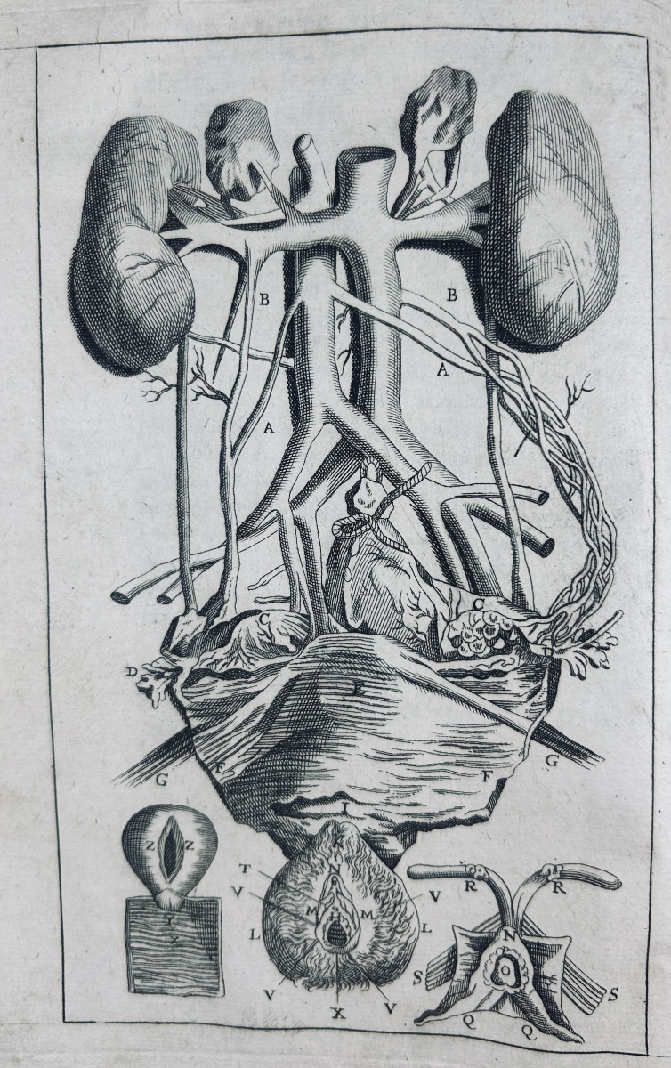 DIONIS - Traité général des accouchemens. Chez Broncard 1721, in-8, reliure plein veau d'époque-photo-2