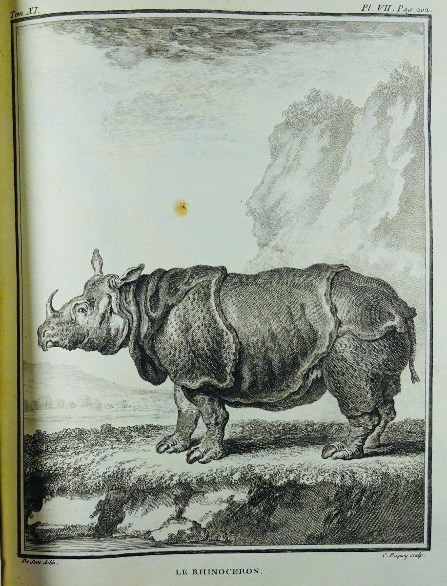 BUFFON - Histoire naturelle.  Édition de 1749 : 15 volumes, 576 gravures d'animaux. -photo-2