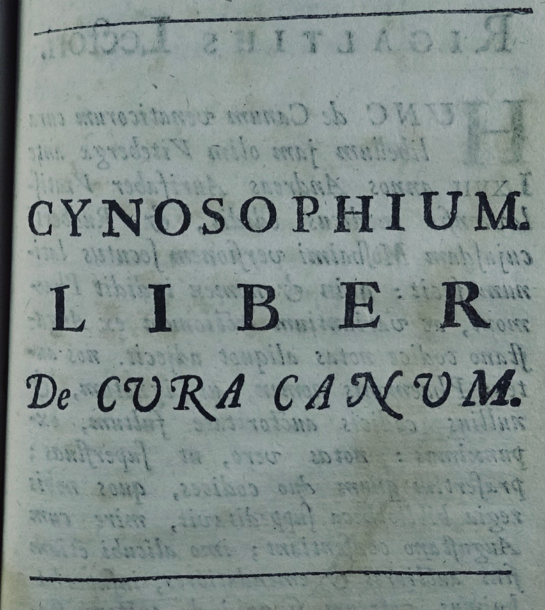 GRATTIUS - Anthologie de texte latin et grec sur la chasse. Imprimée à Londres en 1699.-photo-2