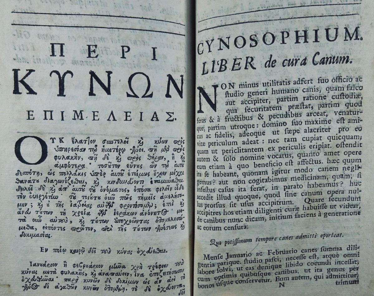 GRATTIUS - Anthologie de texte latin et grec sur la chasse. Imprimée à Londres en 1699.-photo-3