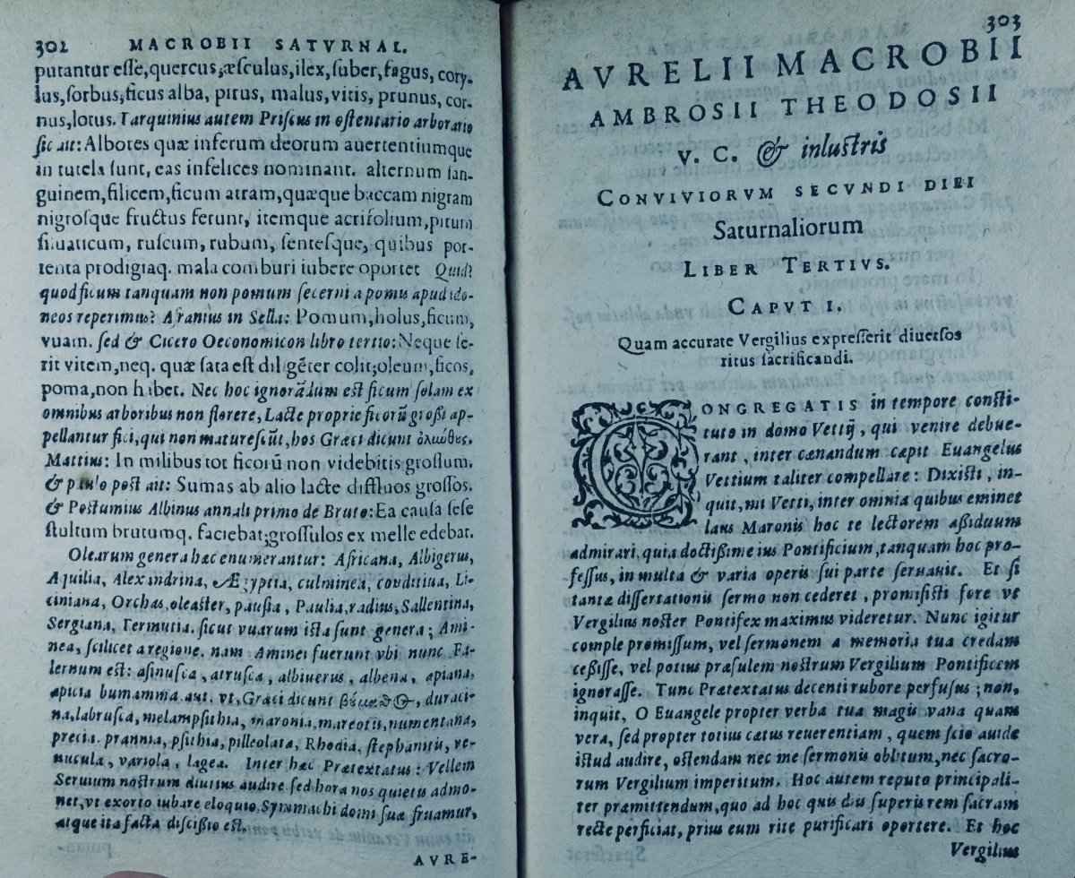 MACROBI (Avr. Théodosii) - Opera. Ouvrage en latin imprimé par Plantin en 1597.-photo-4