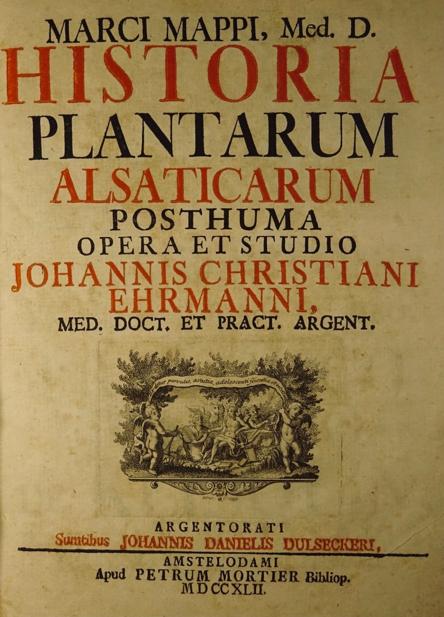 Livre En Latin De 1742. Rare Ouvrage En Latin Recensant Les Plantes d'Alsace. 7 Planches.-photo-2
