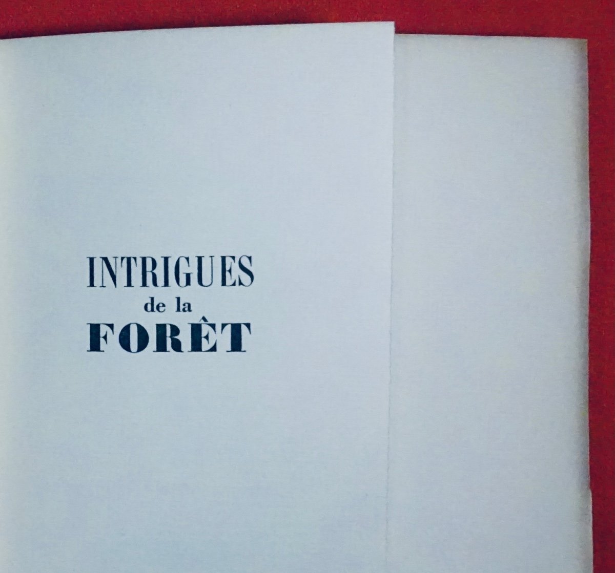 DEMAISON - Intrigues de la forêt (journal d'une plantation). 1940. Édition originale.-photo-6