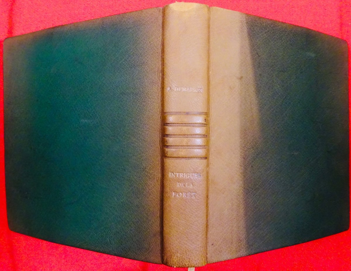 DEMAISON - Intrigues de la forêt (journal d'une plantation). 1940. Édition originale.