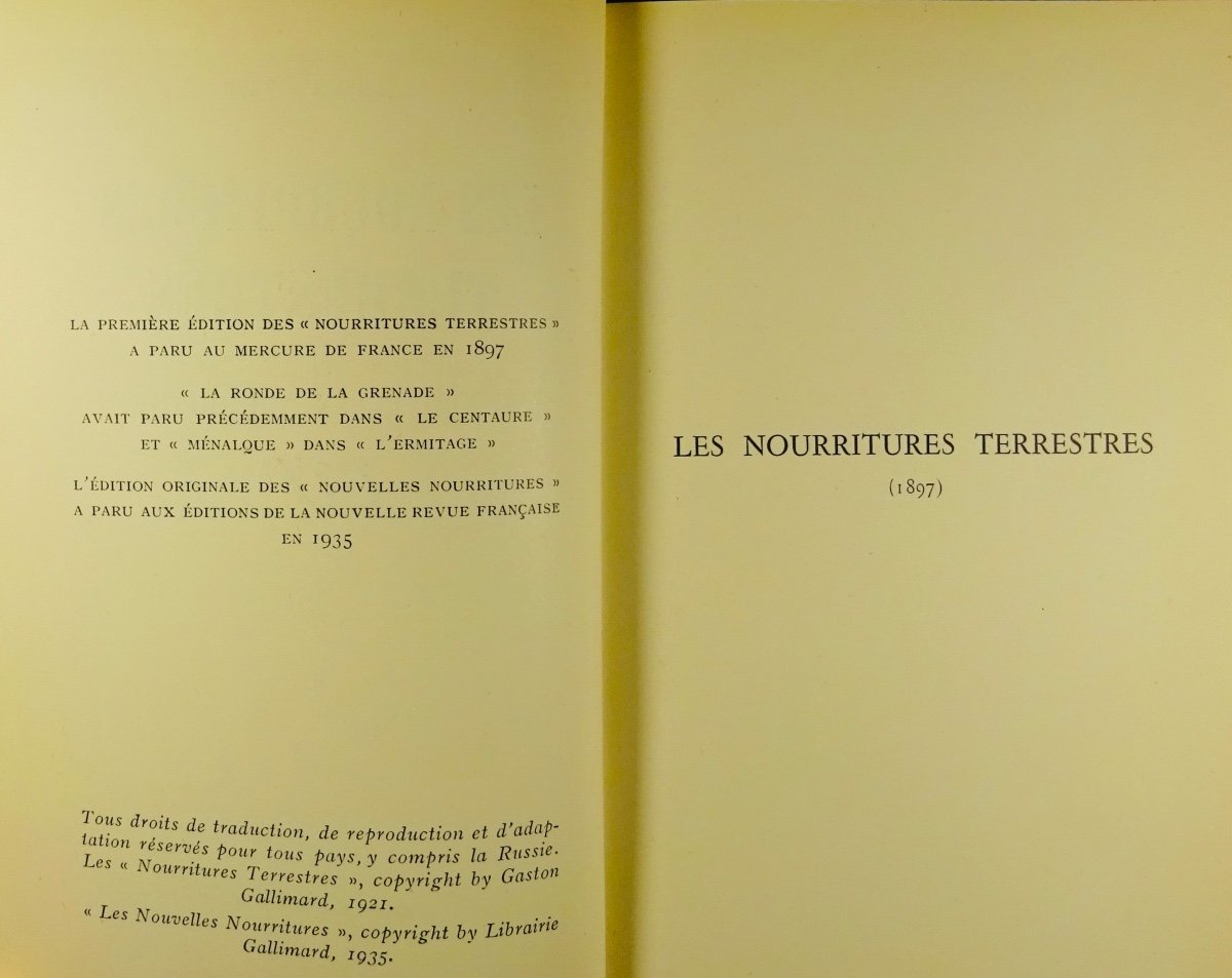 Gide (andré)- Terrestrial Foods. Gallimard, 1942. Cardboard Bonet.-photo-2