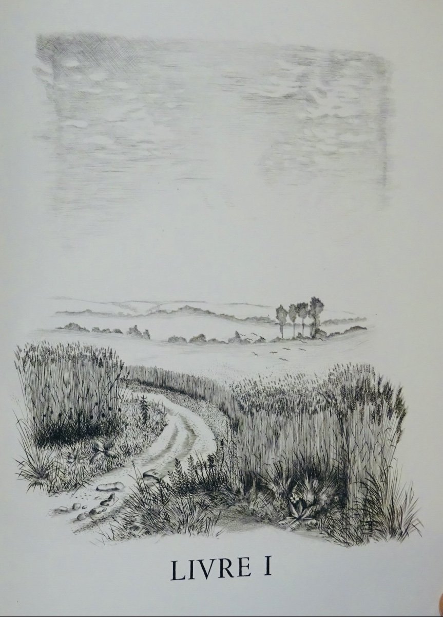 Gide - Terrestrial Foods. Editions Vialetay, 1950. Illustrated By Tavy Notton.-photo-2