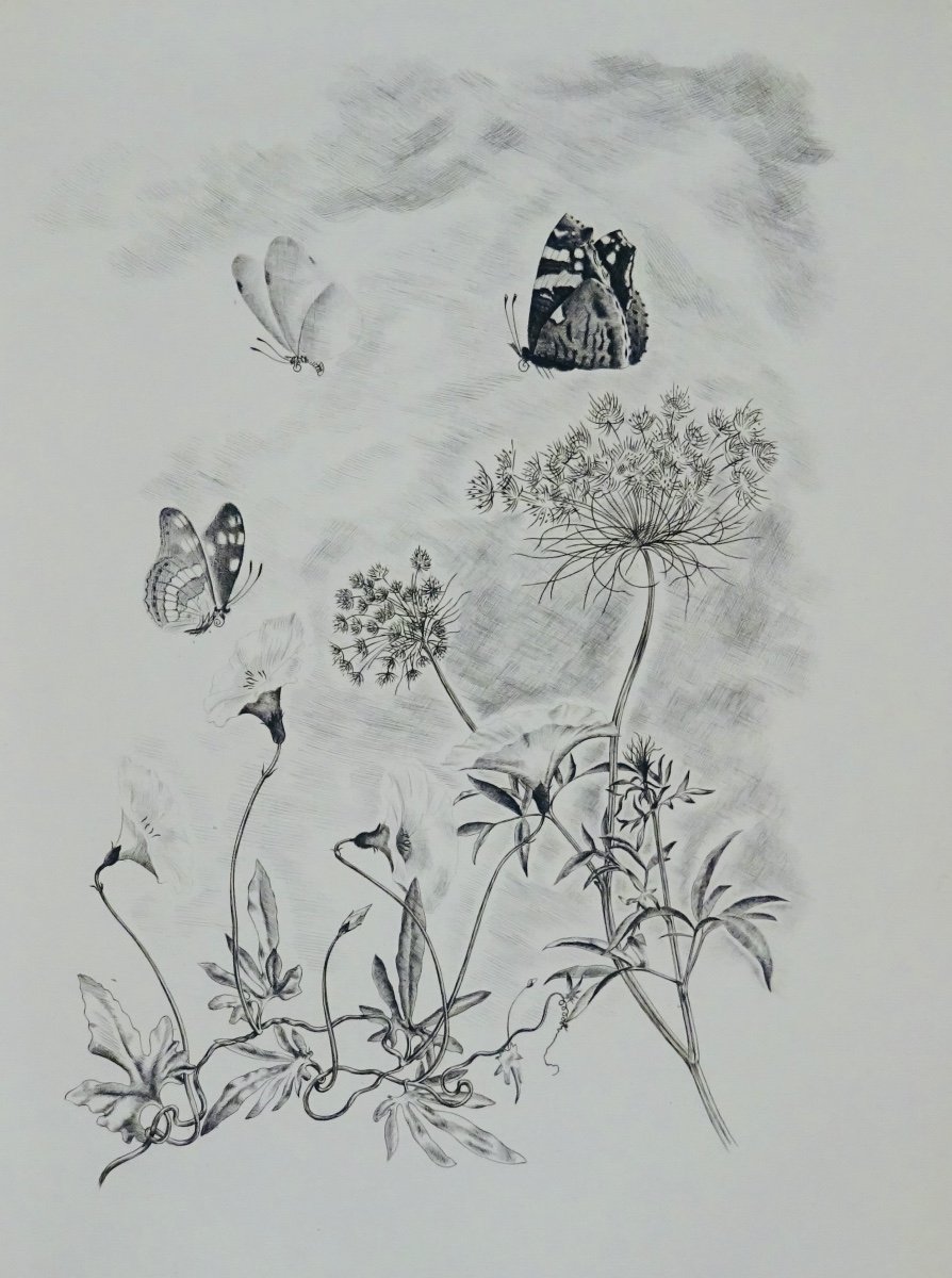 Gide - Terrestrial Foods. Editions Vialetay, 1950. Illustrated By Tavy Notton.-photo-2