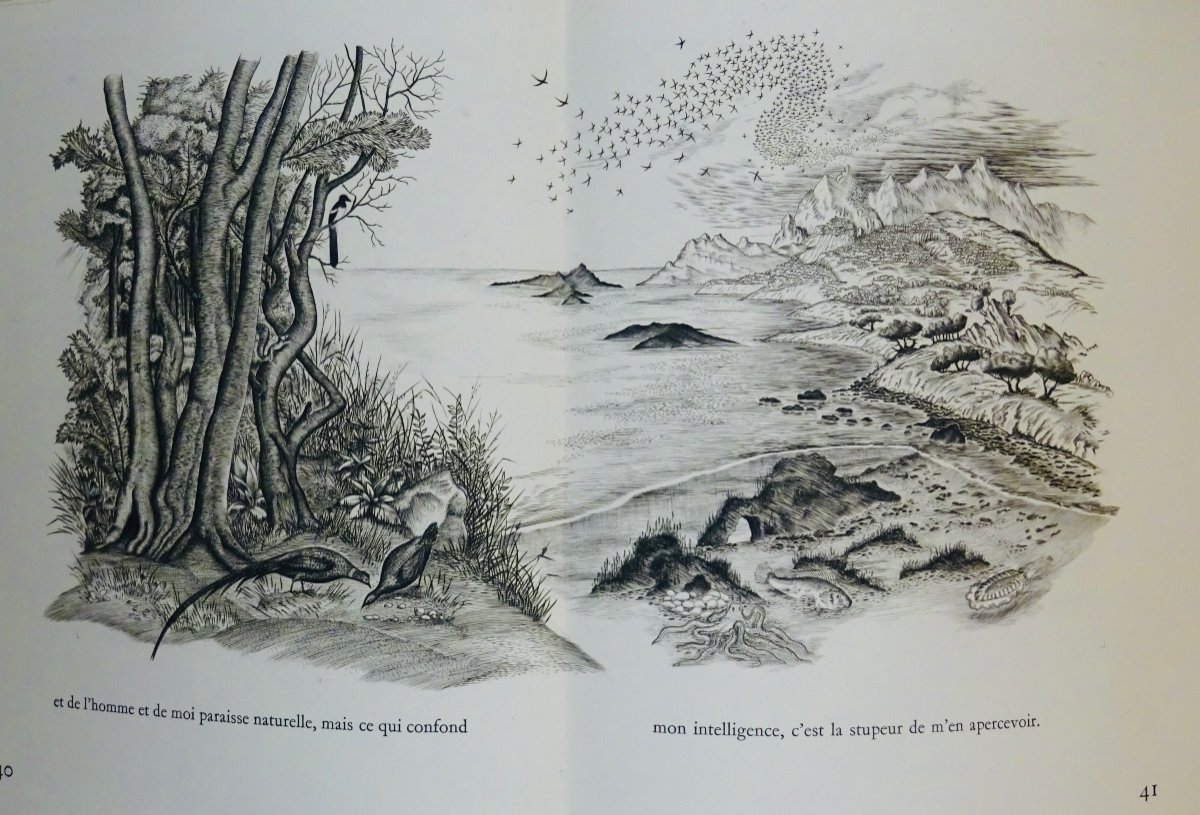 GIDE  - Les Nourritures terrestres. Éditions Vialetay, 1950. Illustré par Tavy NOTTON.-photo-4