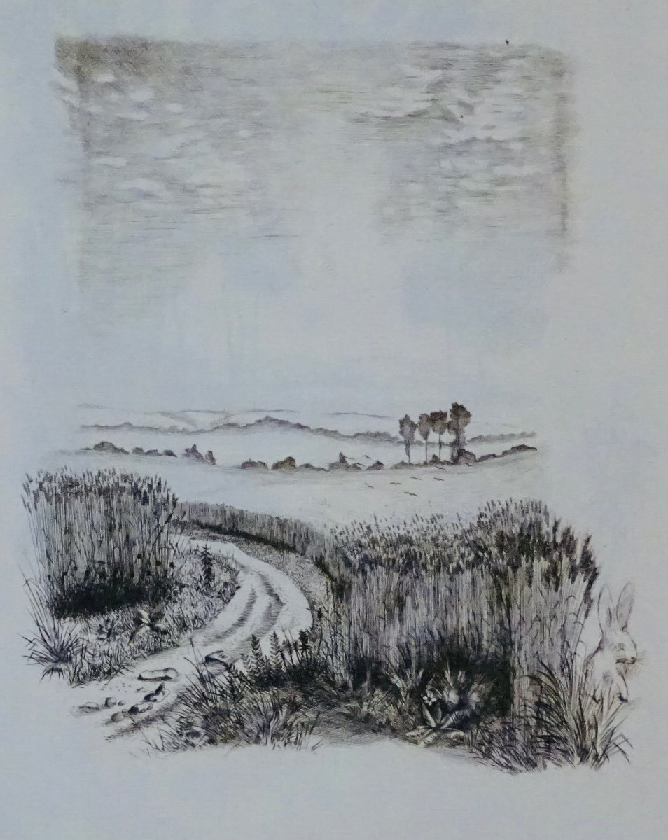 Gide - Terrestrial Foods. Editions Vialetay, 1950. Illustrated By Tavy Notton.-photo-7