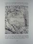 1197893-alb-650ecc8162a15.jpg