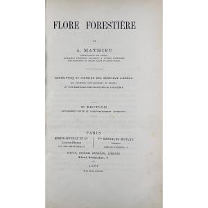 [agriculture] - Mathieu (a.) - Forest Flora. Berger-levrault, Bouchard-huzard, 1877, Bound.