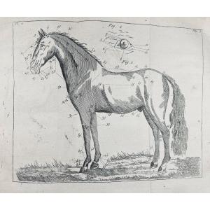 LA FOSSE (Philippe-Étienne) - Guide du maréchal. Chambeau et Cie, 1803, reliure plein veau.