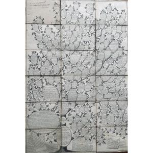 [GÉNÉALOGIE] - ROTH - Essai d'une distribution généalogique des sciences et des arts. 1769.