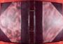 1766381-alb-6a1538abe002b.jpg